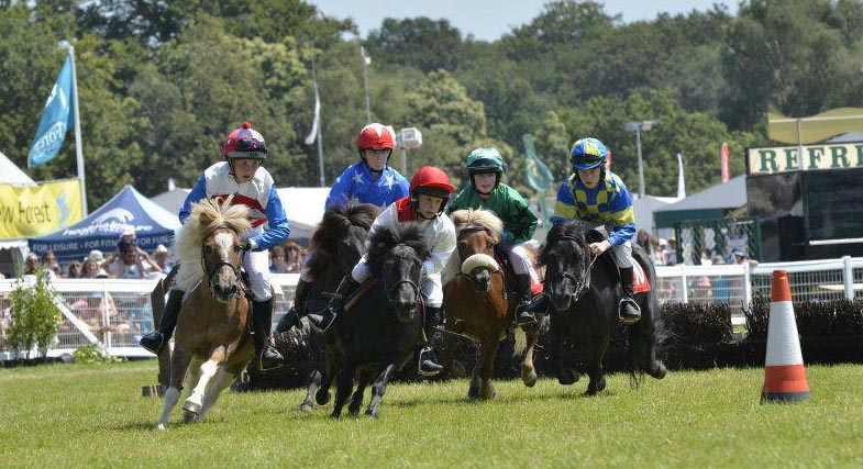 The Shetland Pony Grand National